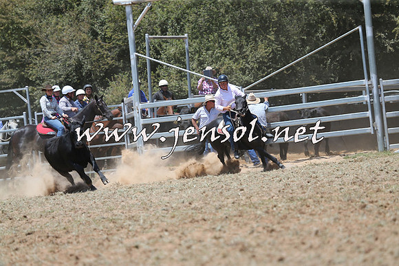 Taralga2015_0946