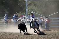 Taralga2015_0663
