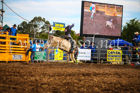 QueanbeyanRodeo2017_2951-1