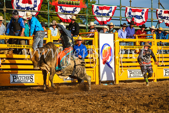 QueanbeyanRodeo2017_3254-1