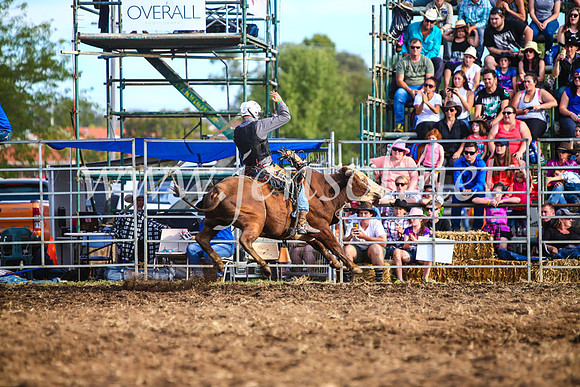 QueanbeyanRodeo2017_3008-1