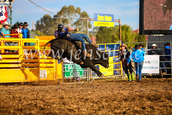 QueanbeyanRodeo2017_3165-1