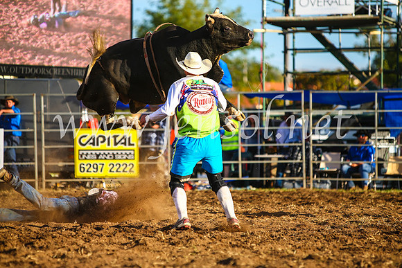 QueanbeyanRodeo2017_3346-1