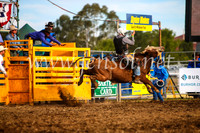 QueanbeyanRodeo2017_2973-1