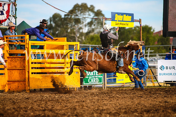 QueanbeyanRodeo2017_2973-1