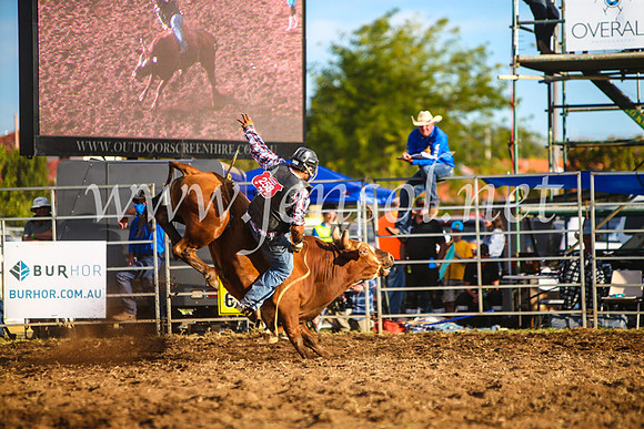 QueanbeyanRodeo2017_3168-1