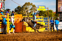 QueanbeyanRodeo2017_3011-1