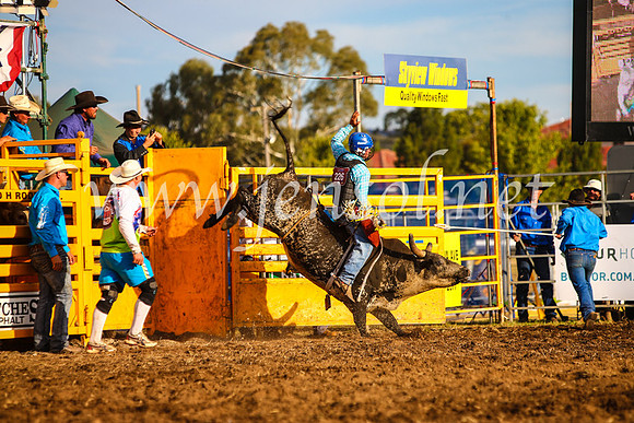 QueanbeyanRodeo2017_3011-1
