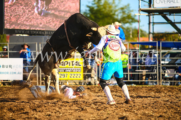 QueanbeyanRodeo2017_3332-1
