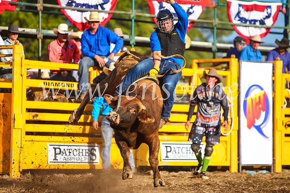 QueanbeyanRodeo2017_3130-1