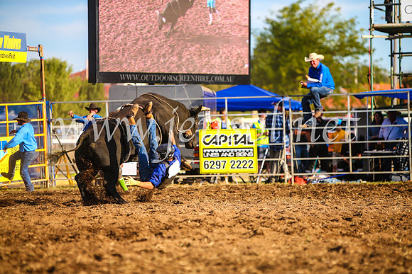 QueanbeyanRodeo2017_3170-1