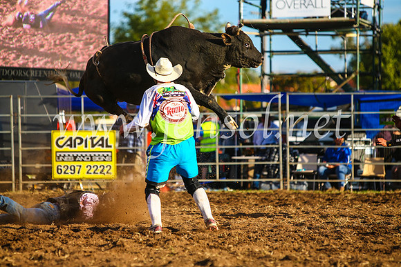 QueanbeyanRodeo2017_3347-1