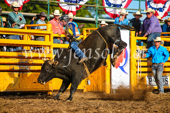 QueanbeyanRodeo2017_2851-1