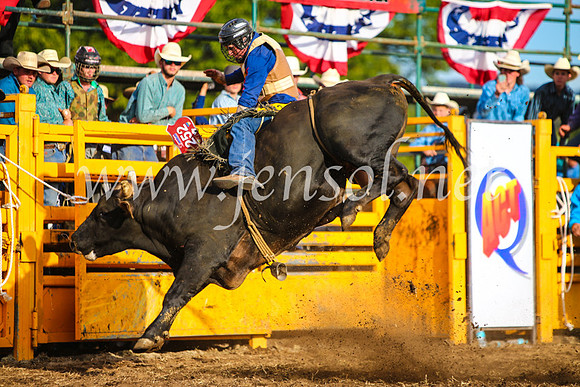 QueanbeyanRodeo2017_2846-1