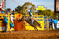 QueanbeyanRodeo2017_3012-1