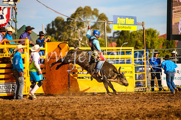 QueanbeyanRodeo2017_3012-1