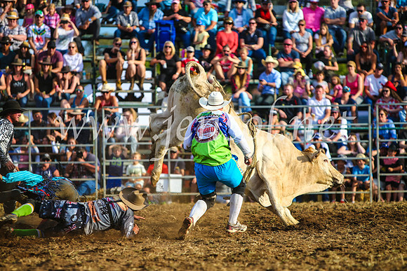 QueanbeyanRodeo2017_3081-1