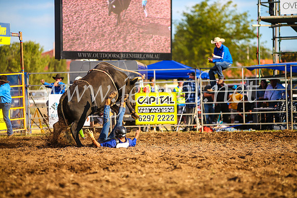 QueanbeyanRodeo2017_3172-1