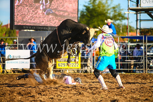 QueanbeyanRodeo2017_3330-1
