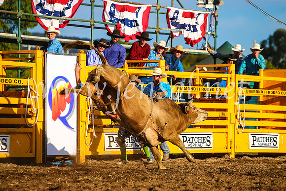 QueanbeyanRodeo2017_3301-1