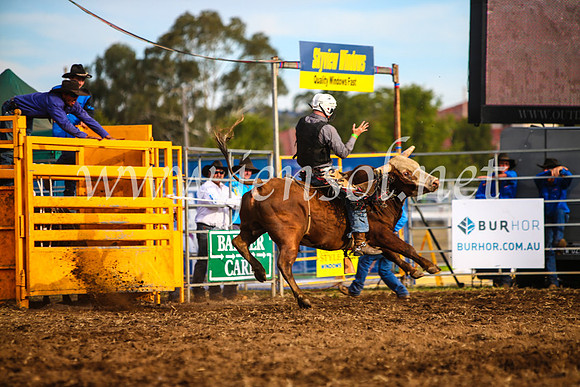 QueanbeyanRodeo2017_2975-1