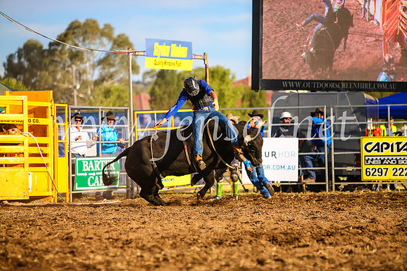 QueanbeyanRodeo2017_3156-1