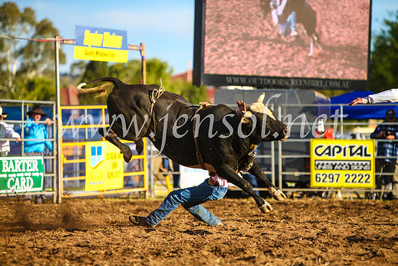 QueanbeyanRodeo2017_3335-1