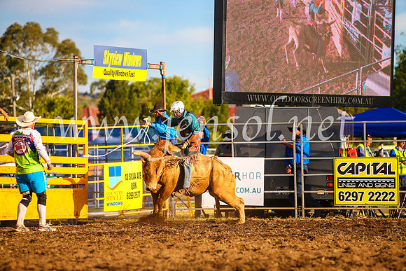 QueanbeyanRodeo2017_3197-1