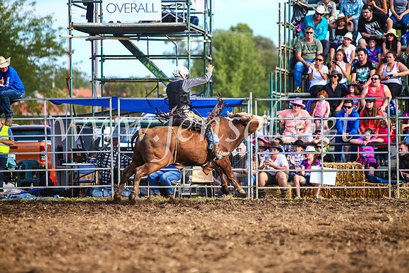 QueanbeyanRodeo2017_3010-1
