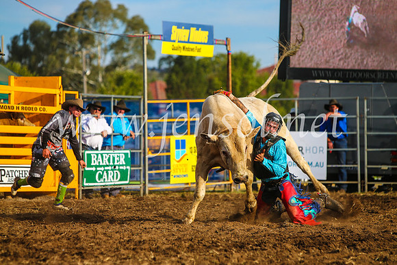 QueanbeyanRodeo2017_3036-1
