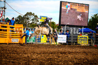 QueanbeyanRodeo2017_2952-1