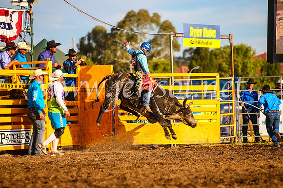 QueanbeyanRodeo2017_3013-1