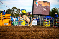 QueanbeyanRodeo2017_2950-1