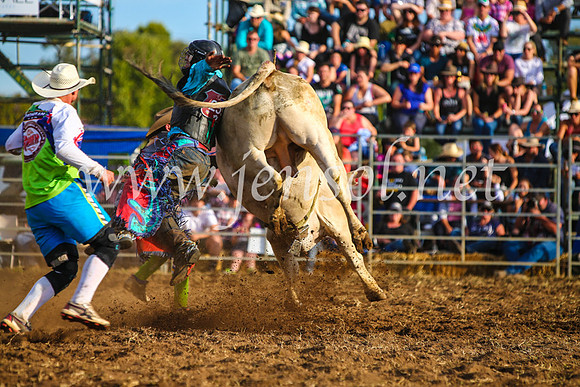 QueanbeyanRodeo2017_3059-1
