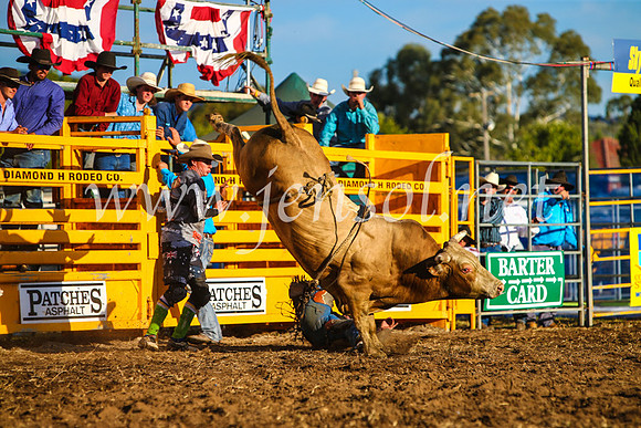 QueanbeyanRodeo2017_3318-1
