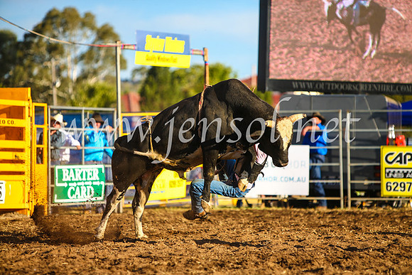QueanbeyanRodeo2017_3336-1