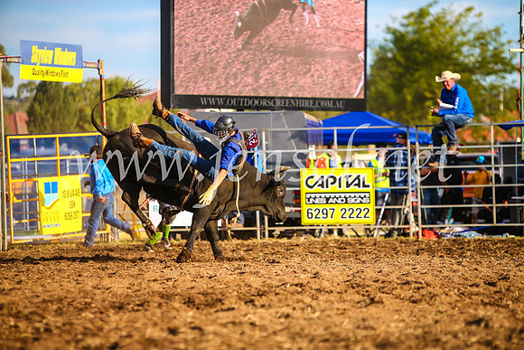 QueanbeyanRodeo2017_3152-1