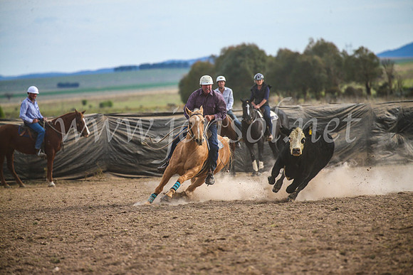 GoulburnCampdraft2017_6802
