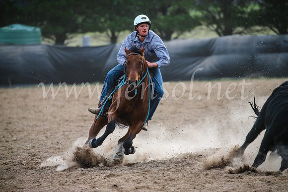 GoulburnCampdraft2017_7096