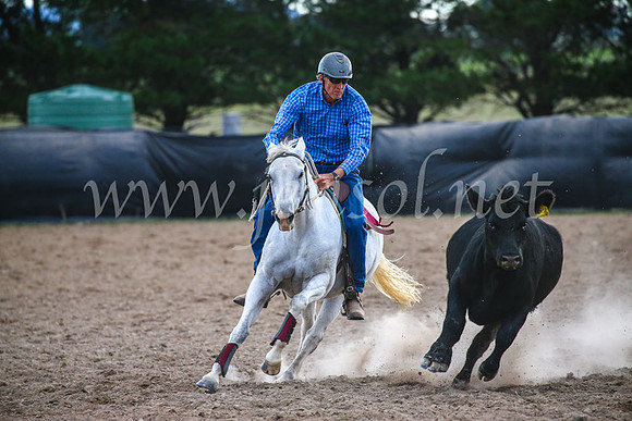 GoulburnCampdraft2017_6976