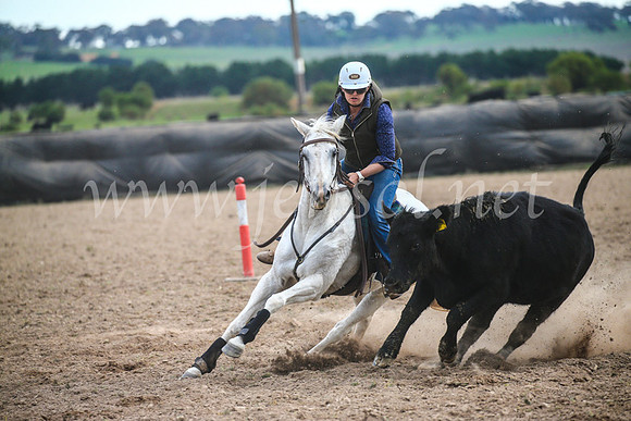 GoulburnCampdraft2017_6932