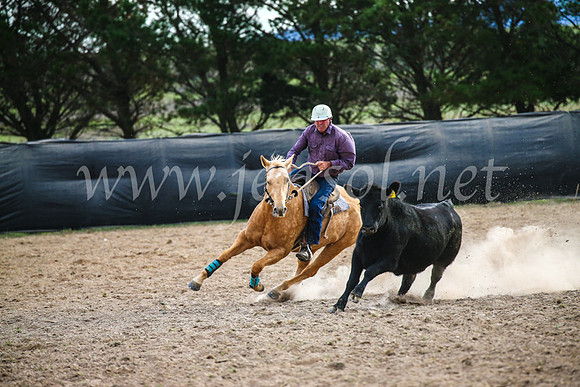 GoulburnCampdraft2017_6807