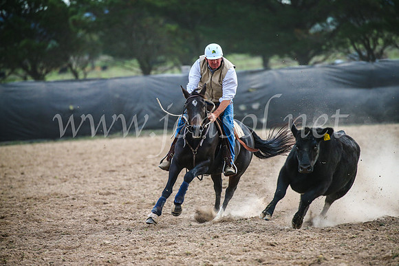 GoulburnCampdraft2017_6897