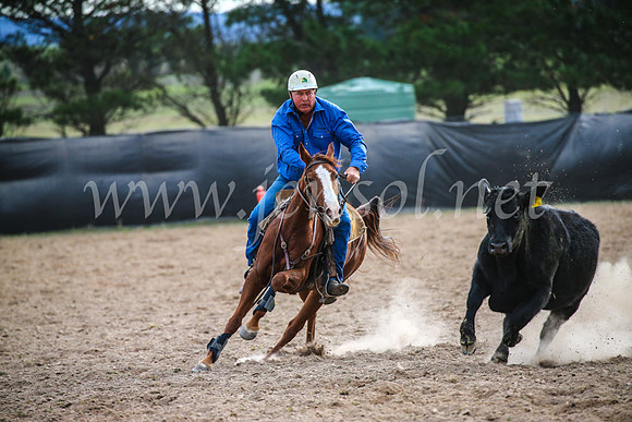 GoulburnCampdraft2017_6851