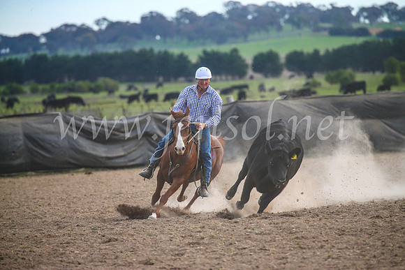 GoulburnCampdraft2017_7090