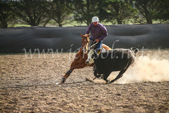GoulburnCampdraft2017_7026
