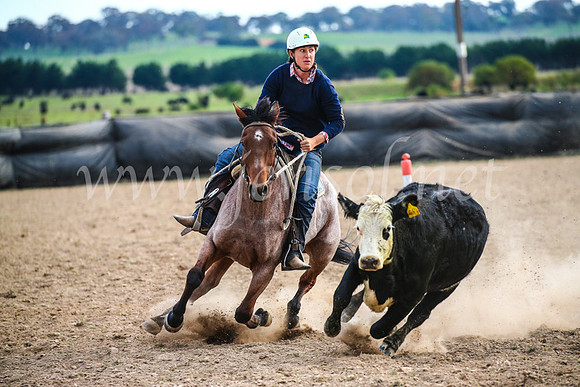GoulburnCampdraft2017_6861
