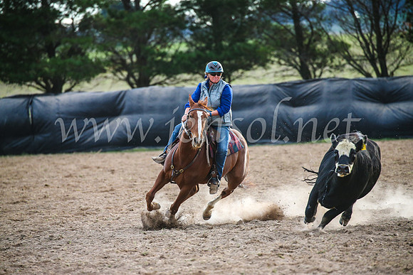 GoulburnCampdraft2017_7080