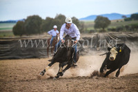 GoulburnCampdraft2017_6754