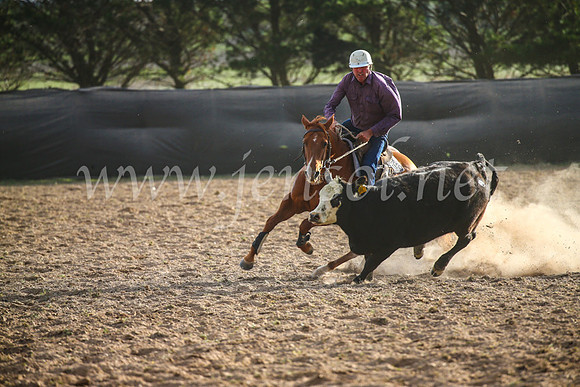GoulburnCampdraft2017_7028